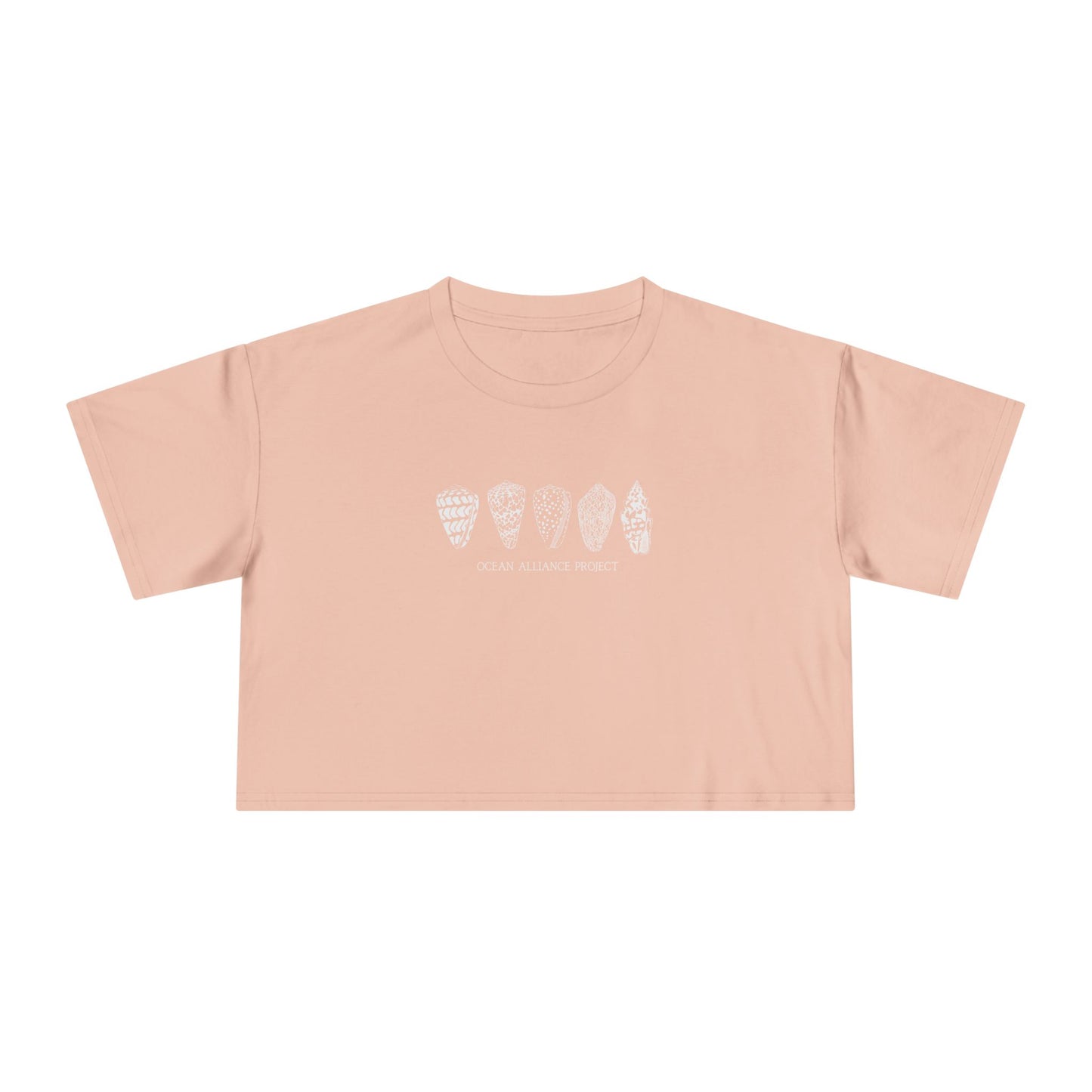 White Shells/Women's Crop Tee