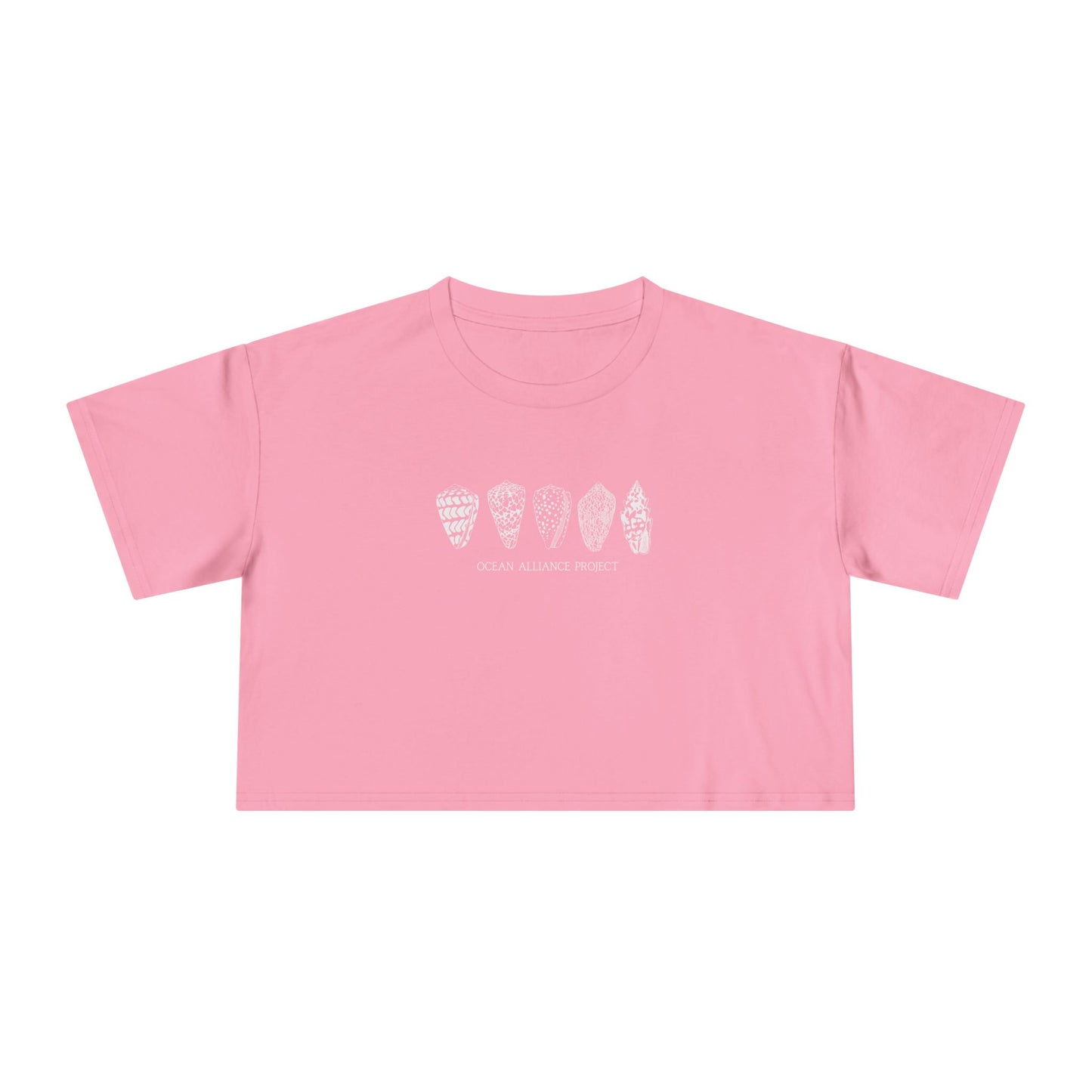 White Shells/Women's Crop Tee