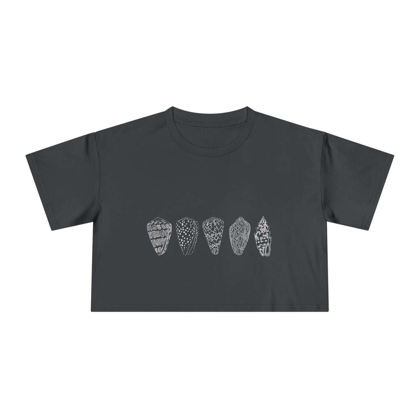 White Shells/Women's Crop Tee