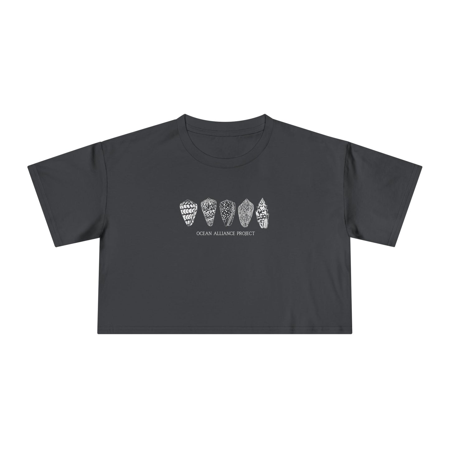White Shells/Women's Crop Tee